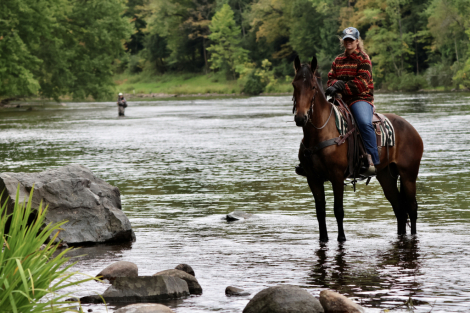 HorseID: 2320421 Work It Out With My Charm - PhotoID: 1107888