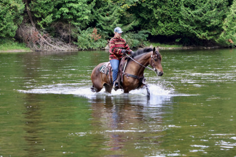 HorseID: 2320421 Work It Out With My Charm - PhotoID: 1107889
