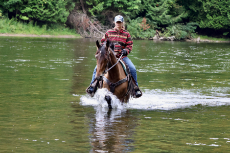 HorseID: 2320421 Work It Out With My Charm - PhotoID: 1107890