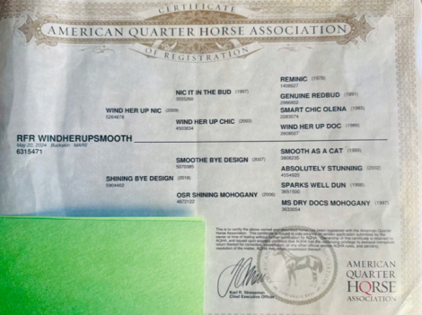 HorseID: 2320455 RFR Winderherupsmooth - PhotoID: 1107928