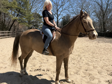 HorseID: 2320486 IMA CLASSIC HUSLER - PhotoID: 1107957