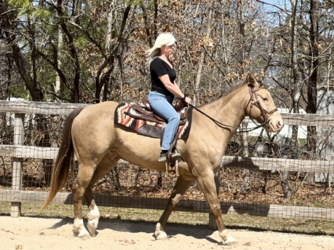 HorseID: 2320486 IMA CLASSIC HUSLER - PhotoID: 1107958