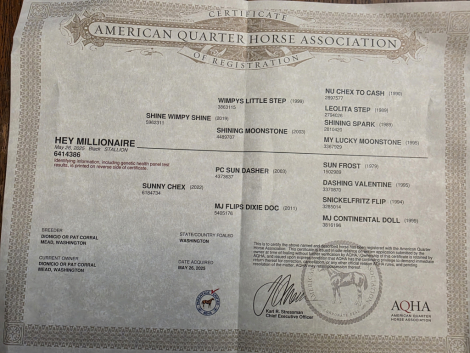 HorseID: 2320492 Hey Millionaire - PhotoID: 1107975