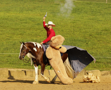 HorseID: 2320539 Buckeyes Haydon - PhotoID: 1108002