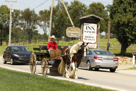 HorseID: 2320539 Buckeyes Haydon - PhotoID: 1108004