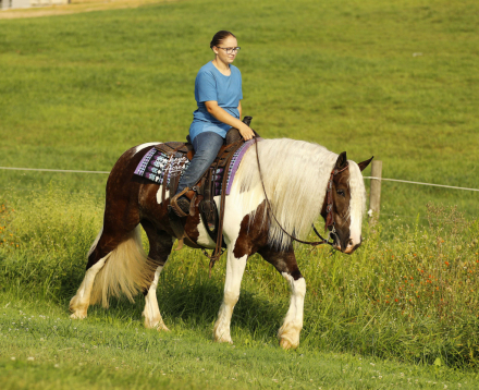 HorseID: 2320539 Buckeyes Haydon - PhotoID: 1108005