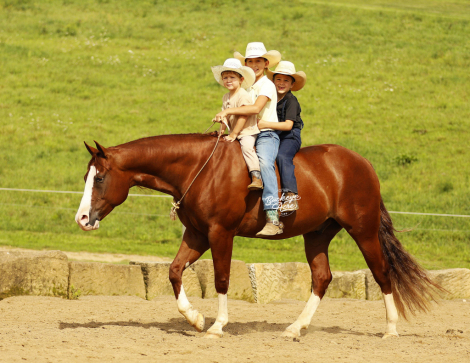 HorseID: 2320540 Jacs Red Ryder - PhotoID: 1107994