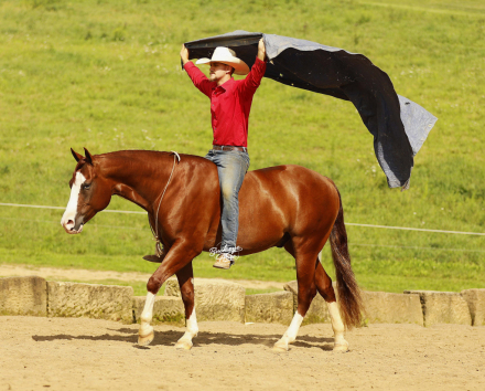 HorseID: 2320540 Jacs Red Ryder - PhotoID: 1107995