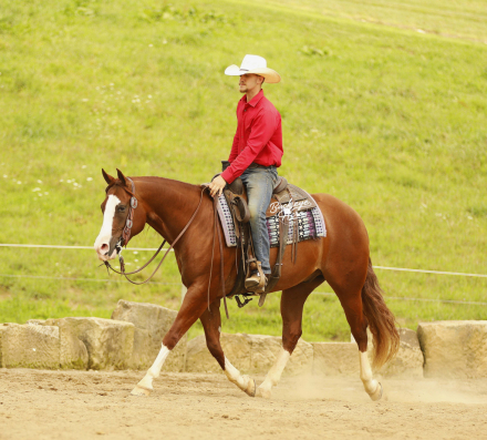 HorseID: 2320540 Jacs Red Ryder - PhotoID: 1107997