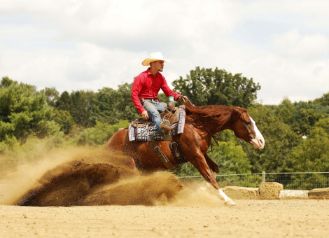 HorseID: 2320540 Jacs Red Ryder - PhotoID: 1107999