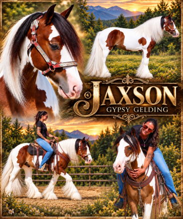 HorseID: 2320552 Hit the jackpot - PhotoID: 1108036
