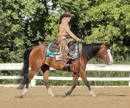 HorseID: 2320605 Gotta Nifty Jac - PhotoID: 1108110