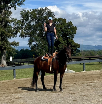 HorseID: 2320616 Ember - PhotoID: 1108123