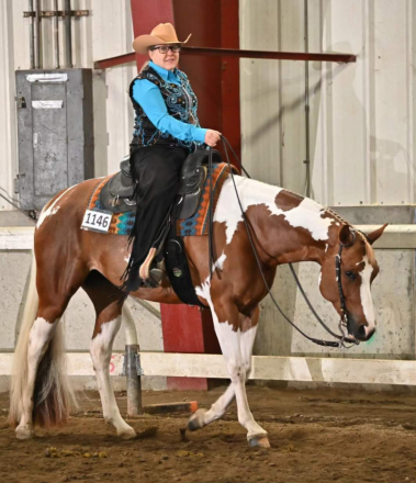 HorseID: 2320683 Zippos Good Asset - PhotoID: 1108148