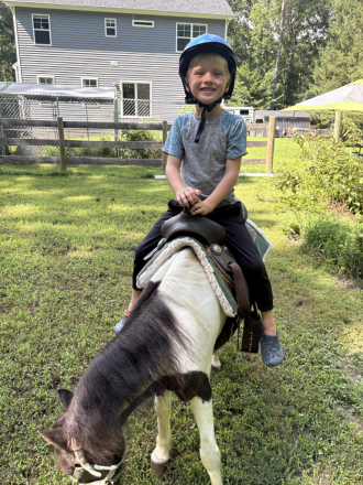 HorseID: 2320763 Button - PhotoID: 1108286