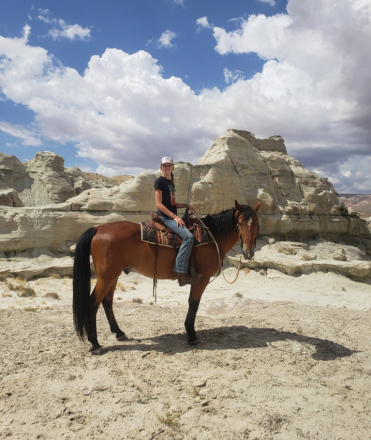 HorseID: 2320776 Santiago Amigo - PhotoID: 1108293