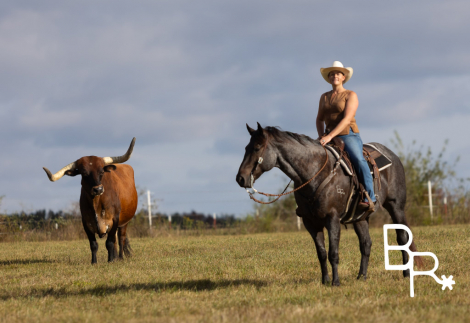 HorseID: 2320787 Jarred - PhotoID: 1108302