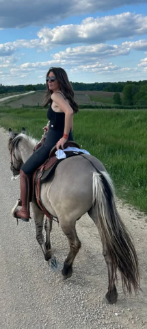 HorseID: 2320810 Bandito - PhotoID: 1108314