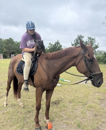 HorseID: 2320827 Big Smile - PhotoID: 1108347