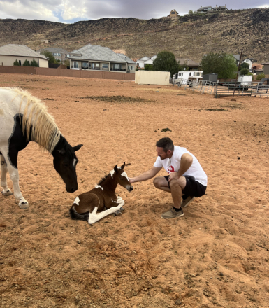 HorseID: 2320831 FFCF’s Casino Royal - PhotoID: 1108340