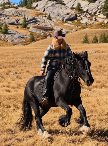 HorseID: 2320842 Drycreeks Man In Black - PhotoID: 1108362