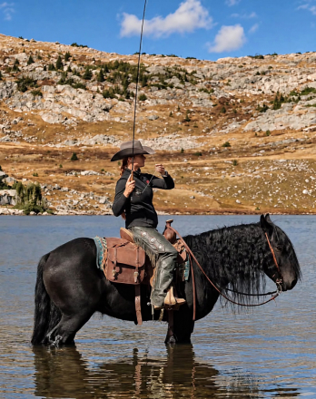 HorseID: 2320842 Drycreeks Man In Black - PhotoID: 1108363