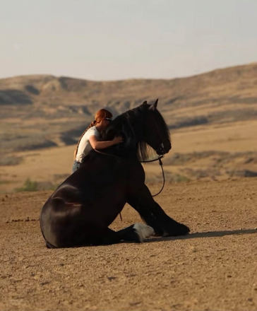 HorseID: 2320842 Drycreeks Man In Black - PhotoID: 1108364