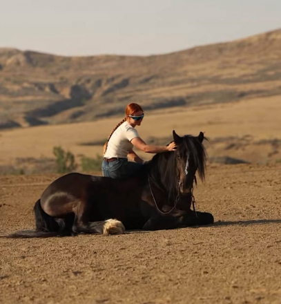 HorseID: 2320842 Drycreeks Man In Black - PhotoID: 1108365