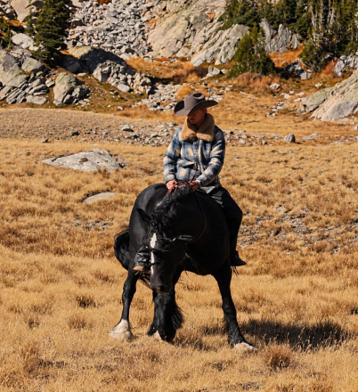 HorseID: 2320842 Drycreeks Man In Black - PhotoID: 1108366