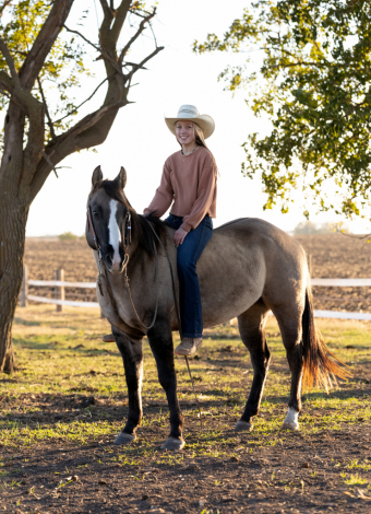 HorseID: 2320878 JRG DOC MUSIC BREEZ - PhotoID: 1108405