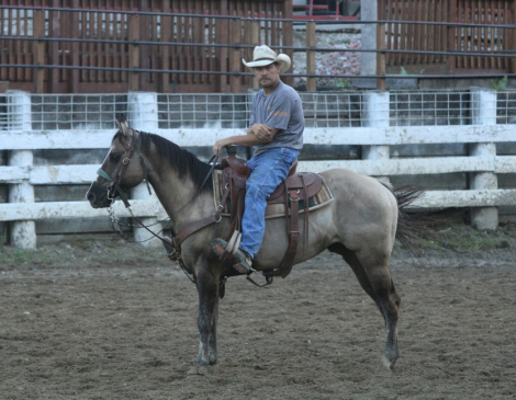 HorseID: 2320878 JRG DOC MUSIC BREEZ - PhotoID: 1108406