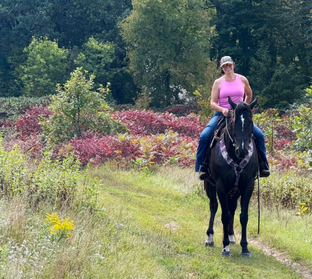 HorseID: 2320899 Featured Goldmine - PhotoID: 1108411