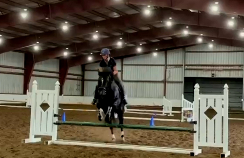 HorseID: 2320899 Featured Goldmine - PhotoID: 1108414