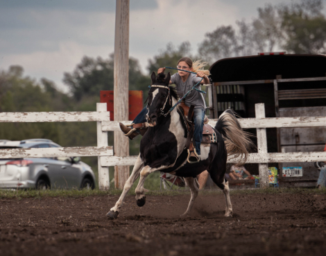 HorseID: 2320912 ALEN'S LITTLE JOE - PhotoID: 1108426