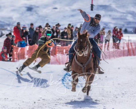 HorseID: 2321045 DH bronze five stud - PhotoID: 1108577