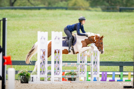HorseID: 2321048 Charm - PhotoID: 1108581