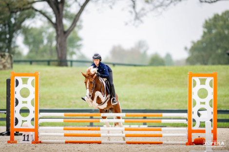HorseID: 2321048 Charm - PhotoID: 1108582