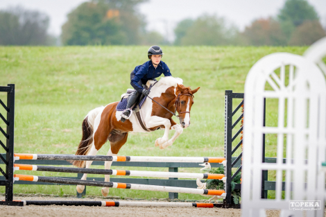 HorseID: 2321048 Charm - PhotoID: 1108583