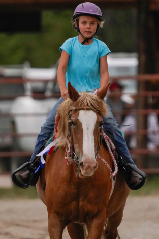 HorseID: 2321083 Rosie - PhotoID: 1108610