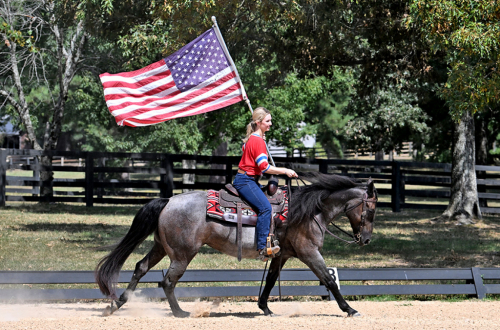 HorseID: 2321093 Dakota's Legacy - PhotoID: 1108623