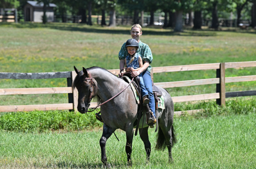 HorseID: 2321093 Dakota's Legacy - PhotoID: 1108626