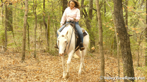 HorseID: 2321097 Look N For A Spot - PhotoID: 1108643