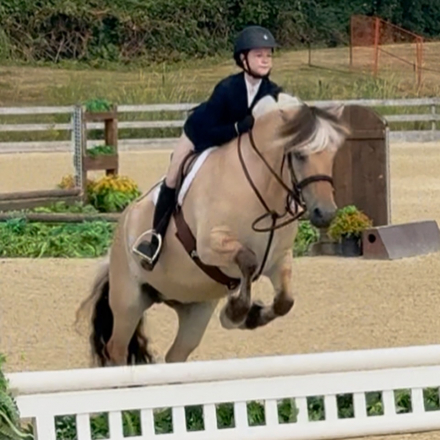HorseID: 2321106 Shermstad Vakkar Princesse - PhotoID: 1108686