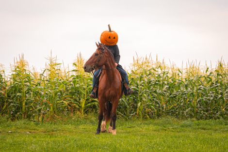 HorseID: 2321128 Tahoe - PhotoID: 1108718