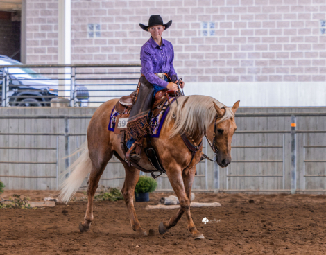 HorseID: 2321155 Cats Purrfect Timing - PhotoID: 1108742