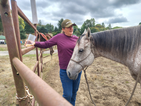 HorseID: 2321164 Irish - PhotoID: 1108779