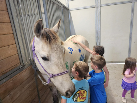 HorseID: 2321191 Msn Hollywood Mo - PhotoID: 1108829