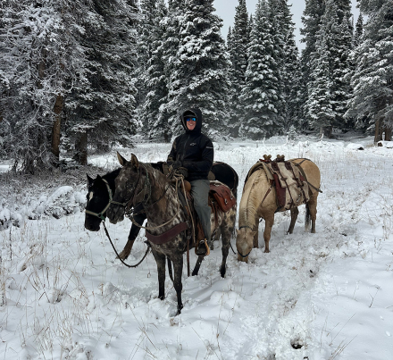 HorseID: 2321195 Oreos - PhotoID: 1108833