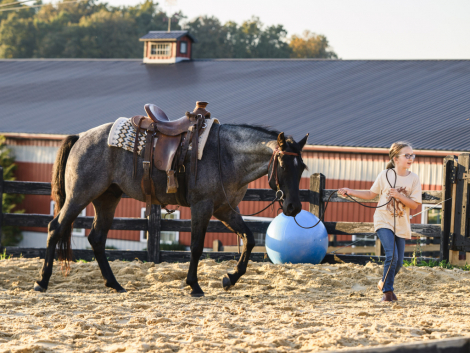 HorseID: 2321197 Drift Away Reo - PhotoID: 1108840