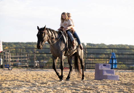 HorseID: 2321197 Drift Away Reo - PhotoID: 1108841